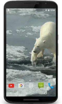 Polar Bear Video Wallpaper android App screenshot 3